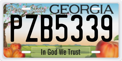 GA license plate PZB5339