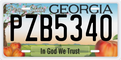 GA license plate PZB5340