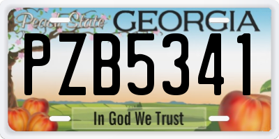 GA license plate PZB5341
