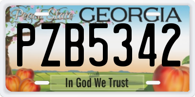 GA license plate PZB5342