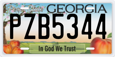 GA license plate PZB5344
