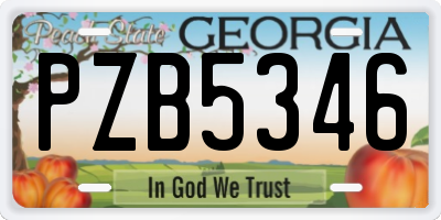 GA license plate PZB5346
