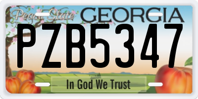 GA license plate PZB5347