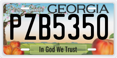 GA license plate PZB5350