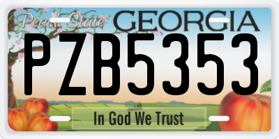 GA license plate PZB5353