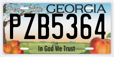 GA license plate PZB5364