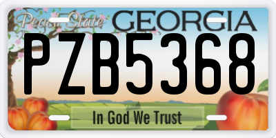 GA license plate PZB5368