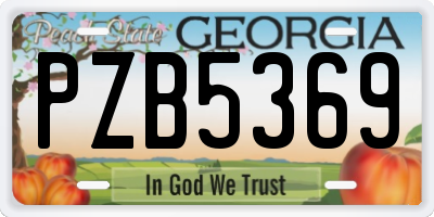GA license plate PZB5369