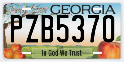 GA license plate PZB5370