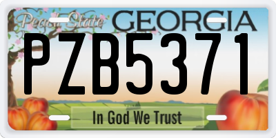 GA license plate PZB5371