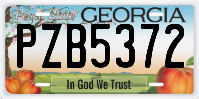 GA license plate PZB5372