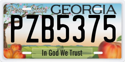 GA license plate PZB5375