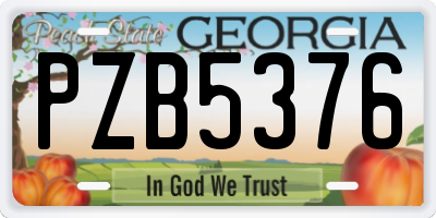 GA license plate PZB5376