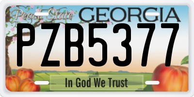 GA license plate PZB5377