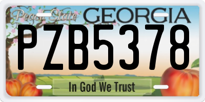 GA license plate PZB5378