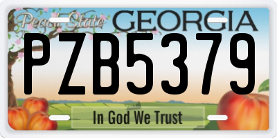 GA license plate PZB5379