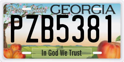 GA license plate PZB5381