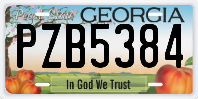 GA license plate PZB5384