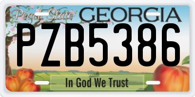 GA license plate PZB5386