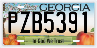 GA license plate PZB5391