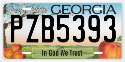 GA license plate PZB5393