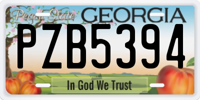 GA license plate PZB5394