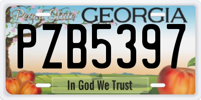 GA license plate PZB5397