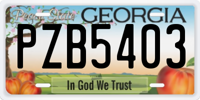 GA license plate PZB5403