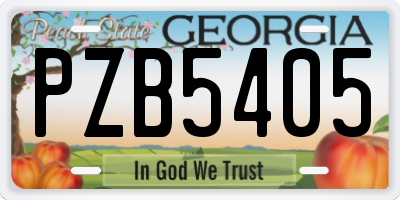GA license plate PZB5405