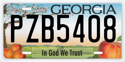 GA license plate PZB5408