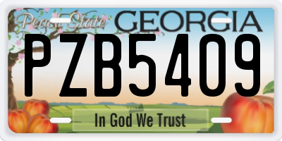 GA license plate PZB5409
