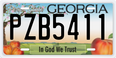 GA license plate PZB5411