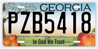 GA license plate PZB5418