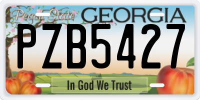 GA license plate PZB5427
