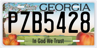 GA license plate PZB5428