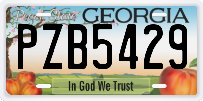 GA license plate PZB5429
