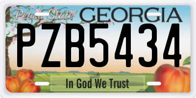 GA license plate PZB5434