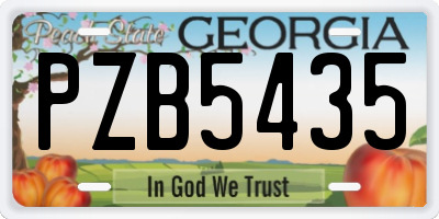 GA license plate PZB5435