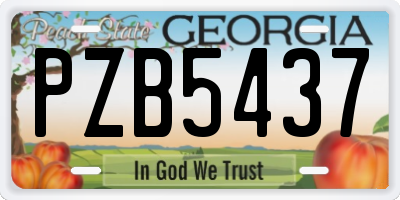 GA license plate PZB5437