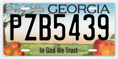 GA license plate PZB5439