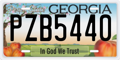 GA license plate PZB5440