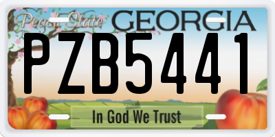 GA license plate PZB5441