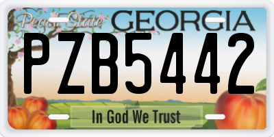 GA license plate PZB5442