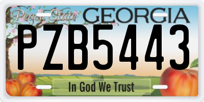 GA license plate PZB5443