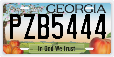 GA license plate PZB5444