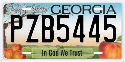 GA license plate PZB5445