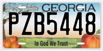 GA license plate PZB5448