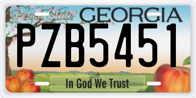 GA license plate PZB5451