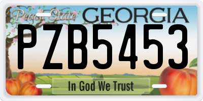 GA license plate PZB5453