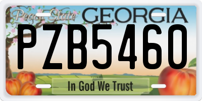 GA license plate PZB5460